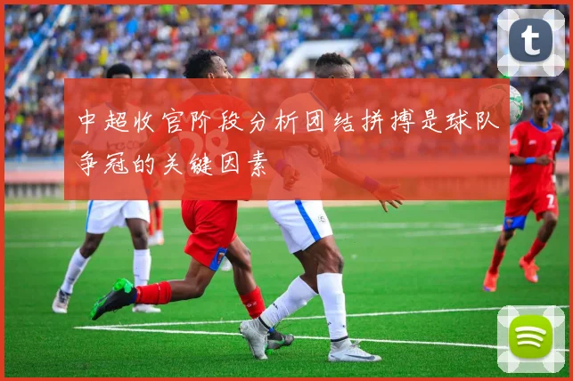 中超收官阶段分析团结拼搏是球队争冠的关键因素