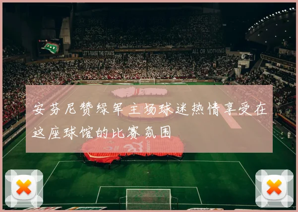 安芬尼赞绿军主场球迷热情享受在这座球馆的比赛氛围