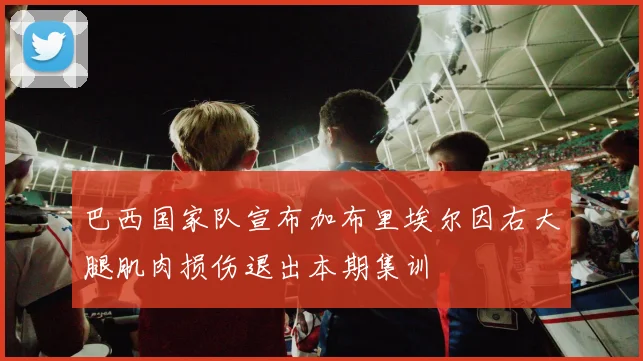 巴西国家队宣布加布里埃尔因右大腿肌肉损伤退出本期集训