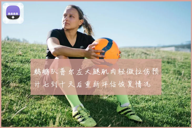 鹈鹕队普尔左大腿肌肉轻微拉伤预计七到十天后重新评估恢复情况