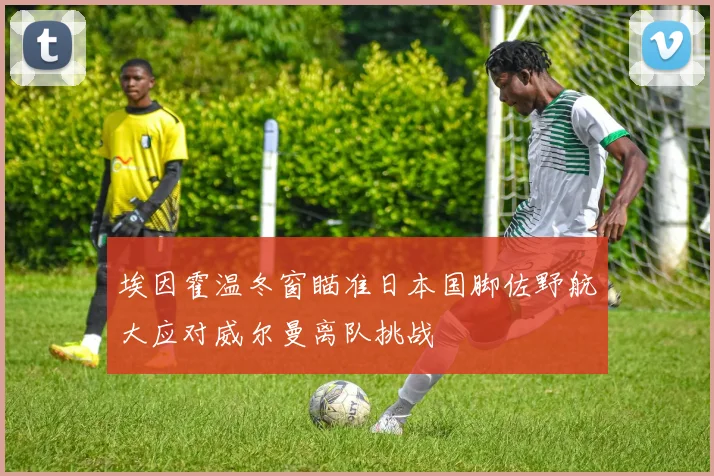 埃因霍温冬窗瞄准日本国脚佐野航大应对威尔曼离队挑战