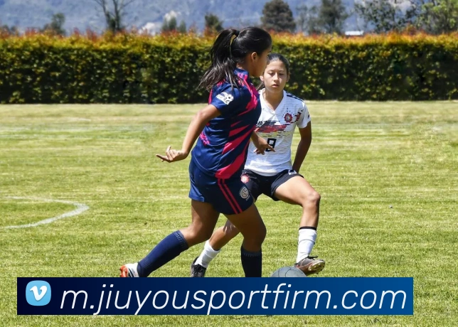 九游体育APP 封面图